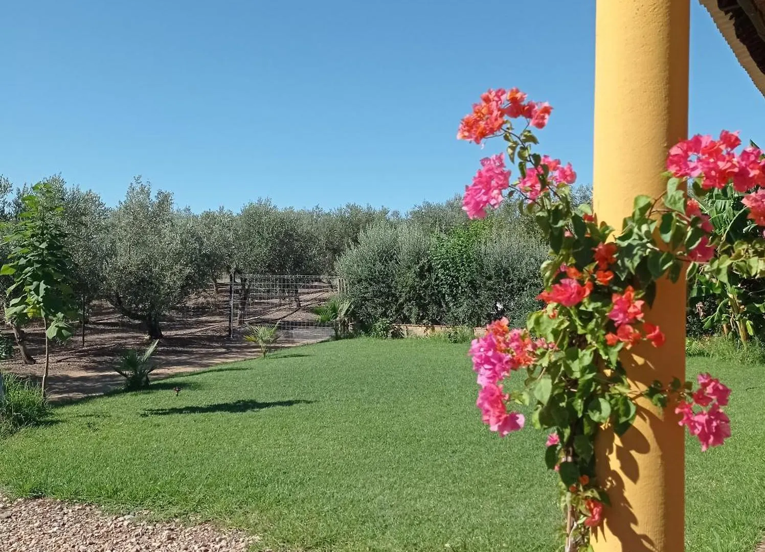 La Buganvilla, Descanso Entre Olivares Hornachuelos