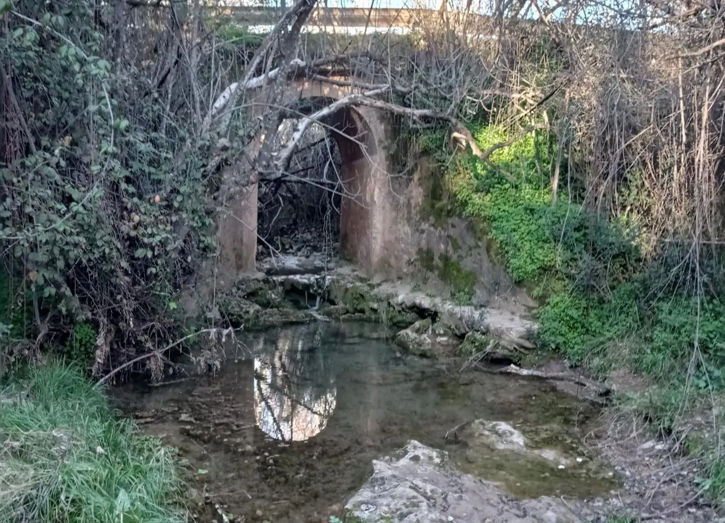 Сasa de vacaciones La Buganvilla, Descanso Entre Olivares Hornachuelos